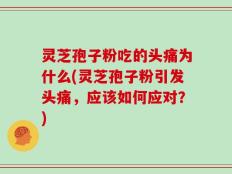 灵芝孢子粉吃的头痛为什么(灵芝孢子粉引发头痛，应该如何应对？)