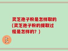 灵芝孢子粉是怎样取的(灵芝孢子粉的提取过程是怎样的？)