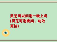 灵芝可以焖泡一晚上吗(灵芝可泡夜间，功效更佳)