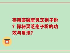 蓓莱荟破壁灵芝孢子粉？探秘灵芝孢子粉的功效与用法？