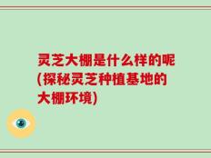 灵芝大棚是什么样的呢(探秘灵芝种植基地的大棚环境)