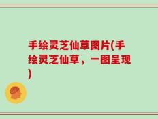 手绘灵芝仙草图片(手绘灵芝仙草，一图呈现)