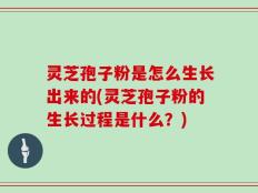 灵芝孢子粉是怎么生长出来的(灵芝孢子粉的生长过程是什么？)