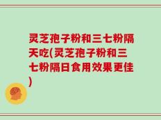 灵芝孢子粉和三七粉隔天吃(灵芝孢子粉和三七粉隔日食用效果更佳)