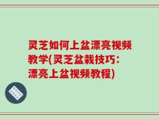灵芝如何上盆漂亮视频教学(灵芝盆栽技巧：漂亮上盆视频教程)