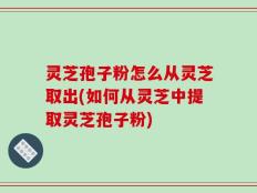 灵芝孢子粉怎么从灵芝取出(如何从灵芝中提取灵芝孢子粉)