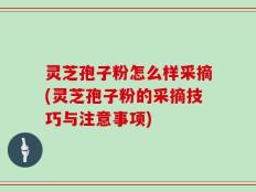 灵芝孢子粉怎么样采摘(灵芝孢子粉的采摘技巧与注意事项)