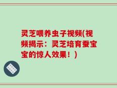 灵芝喂养虫子视频(视频揭示：灵芝培育蚕宝宝的惊人效果！)