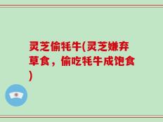 灵芝偷牦牛(灵芝嫌弃草食，偷吃牦牛成饱食)