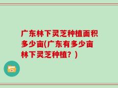 广东林下灵芝种植面积多少亩(广东有多少亩林下灵芝种植？)