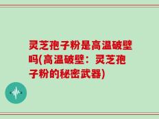 灵芝孢子粉是高温破壁吗(高温破壁：灵芝孢子粉的秘密武器)