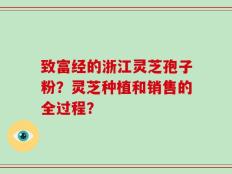 致富经的浙江灵芝孢子粉？灵芝种植和销售的全过程？