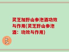 灵芝加野山参泡酒功效与作用(灵芝野山参泡酒：功效与作用)