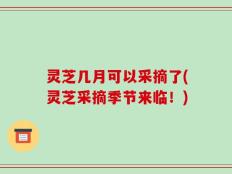 灵芝几月可以采摘了(灵芝采摘季节来临！)