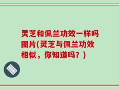 灵芝和佩兰功效一样吗图片(灵芝与佩兰功效相似，你知道吗？)