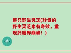 整只野生灵芝(珍贵的野生灵芝素有奇效，重现药膳界巅峰！)