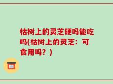 枯树上的灵芝硬吗能吃吗(枯树上的灵芝：可食用吗？)