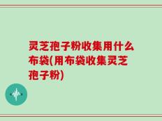 灵芝孢子粉收集用什么布袋(用布袋收集灵芝孢子粉)