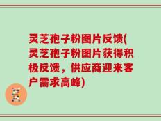 灵芝孢子粉图片反馈(灵芝孢子粉图片获得积极反馈，供应商迎来客户需求高峰)