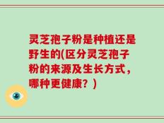 灵芝孢子粉是种植还是野生的(区分灵芝孢子粉的来源及生长方式，哪种更健康？)