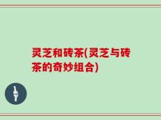 灵芝和砖茶(灵芝与砖茶的奇妙组合)