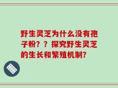 野生灵芝为什么没有孢子粉？？探究野生灵芝的生长和繁殖机制？