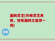 漏网灵芝(珍稀灵芝再现，惊现漏网之值得一观)