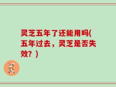 灵芝五年了还能用吗(五年过去，灵芝是否失效？)