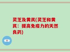 灵芝及黄芪(灵芝和黄芪：提高免疫力的天然良药)