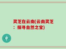 灵芝在云南(云南灵芝：探寻自然之宝)