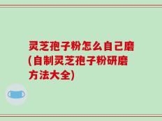 灵芝孢子粉怎么自己磨(自制灵芝孢子粉研磨方法大全)