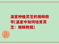 温室种植灵芝的视频教学(温室中如何培育灵芝：视频教程)
