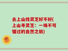 去上山找灵芝好不好(上山寻灵芝：一场不可错过的自然之旅)