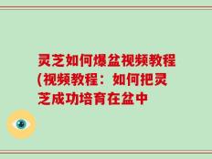 灵芝如何爆盆视频教程(视频教程：如何把灵芝成功培育在盆中