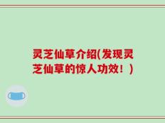 灵芝仙草介绍(发现灵芝仙草的惊人功效！)
