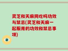 灵芝和天麻同吃吗功效与禁忌(灵芝和天麻一起服用的功效和禁忌事项)