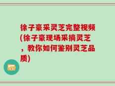 徐子豪采灵芝完整视频(徐子豪现场采摘灵芝，教你如何鉴别灵芝品质)
