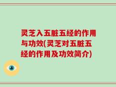 灵芝入五脏五经的作用与功效(灵芝对五脏五经的作用及功效简介)