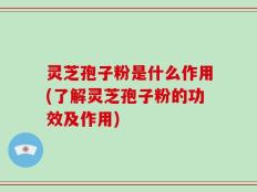 灵芝孢子粉是什么作用(了解灵芝孢子粉的功效及作用)