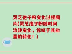 灵芝孢子粉变化过程图片(灵芝孢子粉随时间流转变化，惊叹于其能量的转化！)