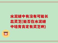 水泥缝中有没有可能长出灵芝(能否在水泥缝中培育肯定有灵芝啊)