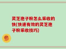 灵芝孢子粉怎么采收的快(快速有效的灵芝孢子粉采收技巧)