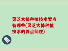 灵芝大棒种植技术要点有哪些(灵芝大棒种植技术的要点简述)