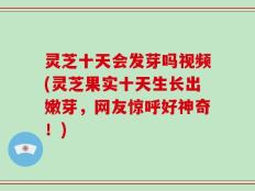 灵芝十天会发芽吗视频(灵芝果实十天生长出嫩芽，网友惊呼好神奇！)