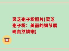 灵芝孢子粉照片(灵芝孢子粉：美丽的细节展现自然馈赠)