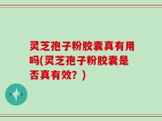 灵芝孢子粉胶囊真有用吗(灵芝孢子粉胶囊是否真有效？)