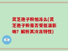 灵芝孢子粉怕冻么(灵芝孢子粉是否受低温影响？解析其冷冻特性)