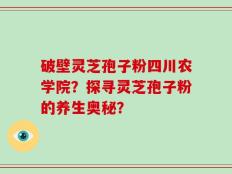 破壁灵芝孢子粉四川农学院？探寻灵芝孢子粉的养生奥秘？