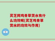 灵芝同鸡骨草煲水有什么功效呢(灵芝鸡骨草煲水的功效与作用)