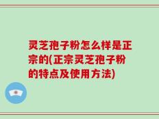 灵芝孢子粉怎么样是正宗的(正宗灵芝孢子粉的特点及使用方法)